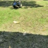 Mix Gif Bib🧸֍7🇲🇽Movi 24