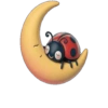 Animal 🌚🌙Moon .mov 30