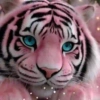 Animales en color Rosa♦️💞1🇵🇪Movi 12