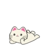 Silly Kitties✨🐱.mov 23