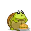 Tortu mov 7