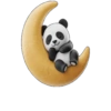Animal 🌚🌙Moon .mov 15