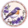 PAJAROS 🦜🦉 10