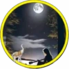 Luna🌙💞2🇵🇪Movi 22