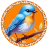 PAJAROS 🦜🦉 16