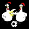 Gallo Futbolista⚽💞1🇵🇪Movi 26