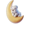 Animal 🌚🌙Moon .mov 20