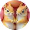 Animalitos Cute💞7🇵🇪Movi 12