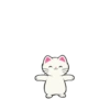 Silly Kitties✨🐱.mov 28
