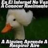 Various 🧸🇲🇽 26