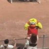 Mascotas Pollo y Pia Algodoneros Unión Laguna⚾֍1🇲🇽Movi 26