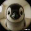 Animal Fish Eye 🐼🐶🐱 8