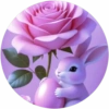 Animalitos Cute💞6🇵🇪Movi 26
