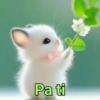 Animales 5 23