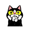 Tomi 2 mov 6