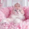 Animales en color Rosa♦️💞1🇵🇪Movi 4