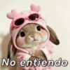 Tiernos para contestar 🐇🐣🐱 17