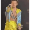 Harry Styles 2 🧸🇲🇽 19