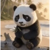 Pandas 2 🧸🇲🇽 7