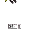 INSECTOS 🦋🐝🌺 15