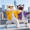 Cats Dance 🧸🇲🇽 21