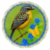 PAJAROS 🦜🦉 14