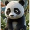 Pandas 2 🧸🇲🇽 19