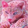 Animales en color Rosa♦️💞1🇵🇪Movi 11