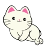 Silly Kitties✨🐱.mov 9
