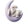 Animal 🌚🌙Moon .mov 24
