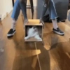 😼 Katzen und Kartons 📦 15