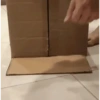 😼 Katzen und Kartons 📦 14