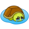 Tortu mov 23