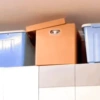 😼 Katzen und Kartons 📦 17