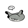 Sharkito mov 7