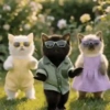 Cats Dance 🧸🇲🇽 6