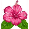 MIX 🦋🐞🌺 7