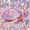 Animales en color Rosa♦️💞1🇵🇪Movi 25