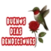 Buenos días 12 🌞 MOV. 🇲🇽 6