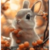 Bunny 🧸🇲🇽 27