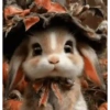 Bunny 🧸🇲🇽 7