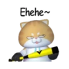 Antuan Funny cat 🐈🪷 Mov 24