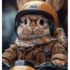 Bunny 🧸🇲🇽 17