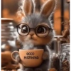 Bunny 🧸🇲🇽 29