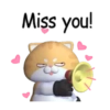 Antuan Funny cat 🐈🪷 Mov 23