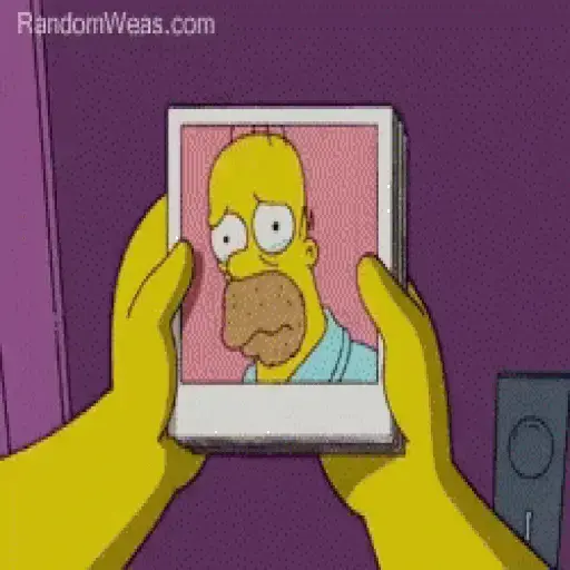 Homero Simpson 2 28