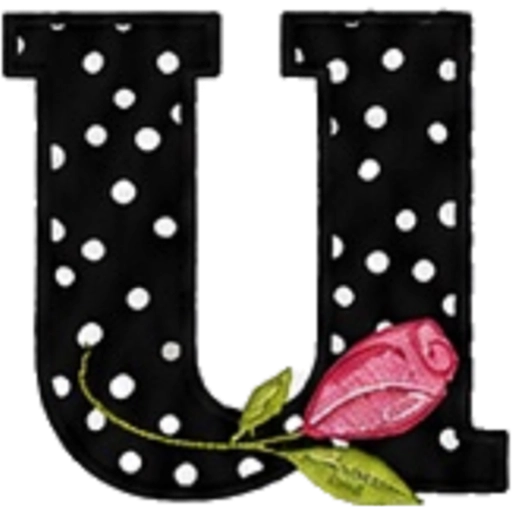 ALFABETO CON ROSA🌹⚫️⚪️ 27