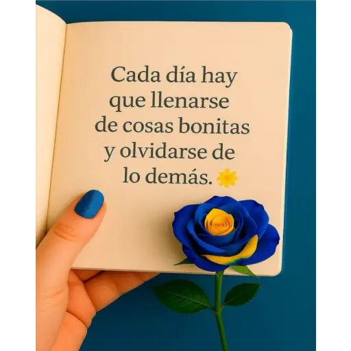 Adios Agosto 🧡⏩ 17