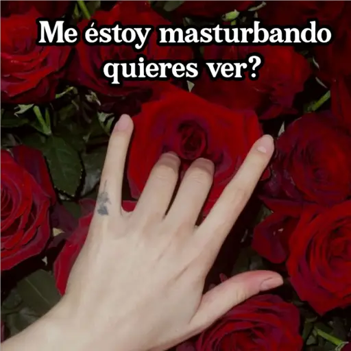 (｡•̀ᴗ-)✧Seduccion}→2 27