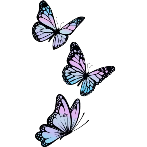 Butterfly🦋❥☯︎ͫ1🇲🇽Clásica 26